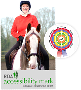 accessibility mark