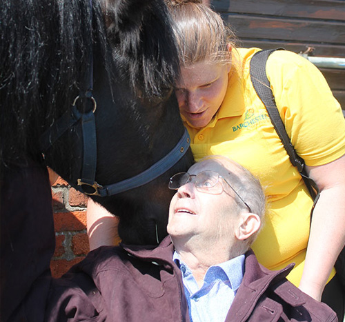 horses and people