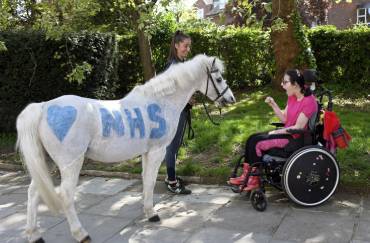 A horse sitting in front of a girl on wheelchair
