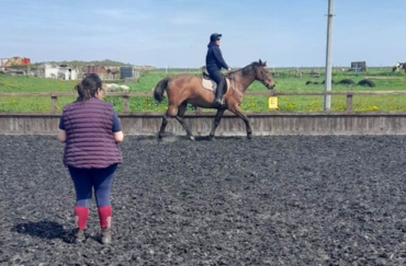 Picture of RDA Coach Mel Tomlinson teaching. Her back is to the camera and the rider is in front of her on a bay horse.