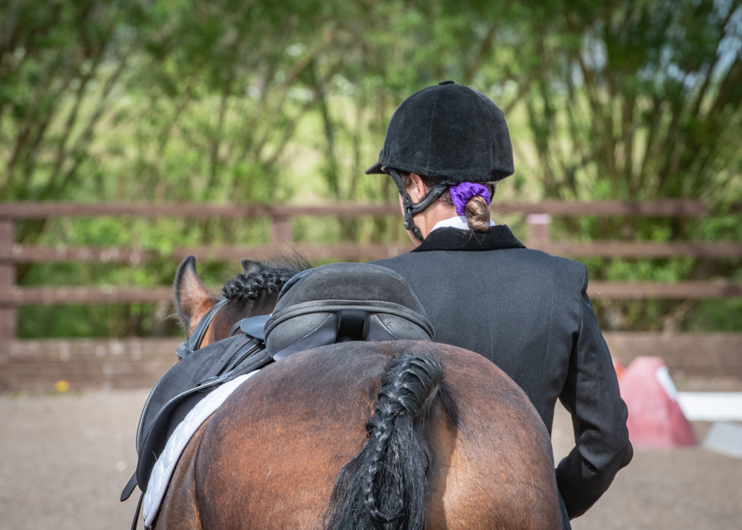 Rider walks with a horse with their backs to the camera. The horse is a bay with a plait in its tail and tacked up. The rider has a purple scrunchie on and wears a smart jacket and hat.