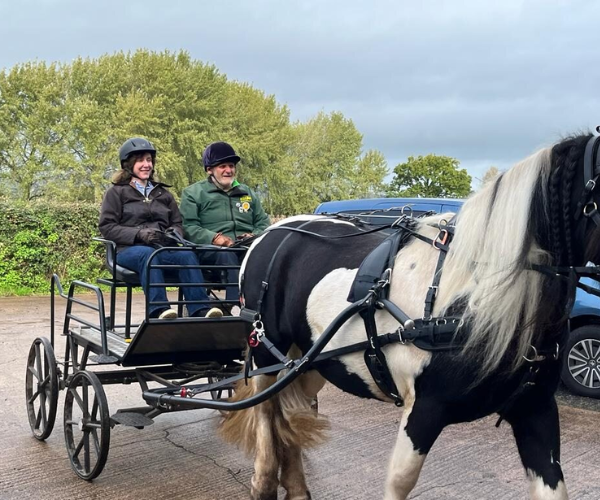 Helena Vega-Lozano trying Carriage Driving at the Royal Forest of Dean Group.