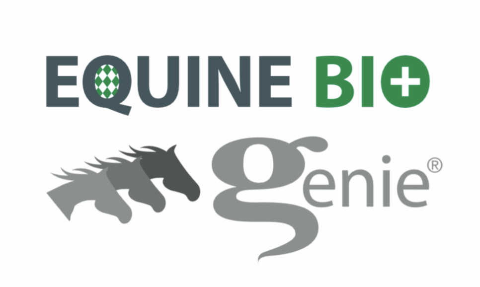 Equine Bio Genie Logo