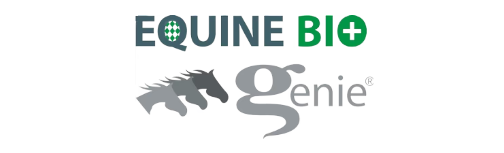 Equine Bio Genie Logo