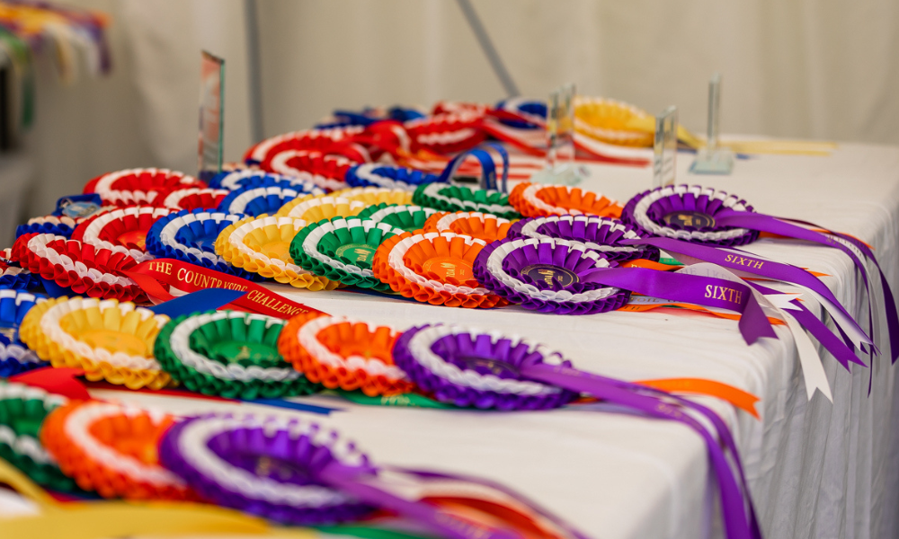 A table of coloured rosettes.