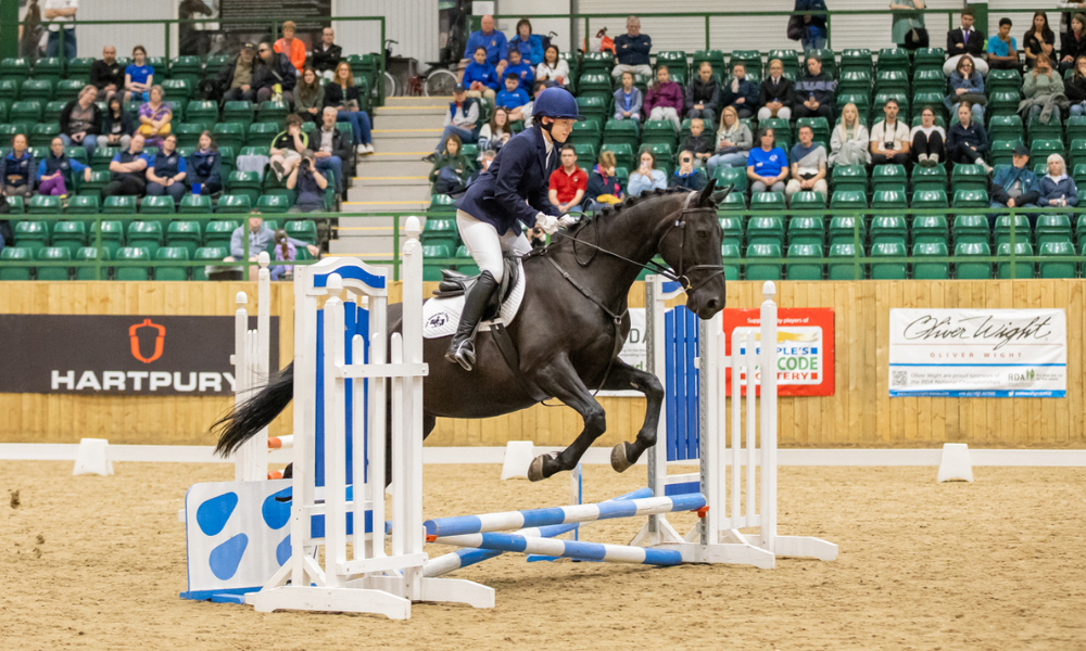 A rider and a pony fly over a blue showjump while spectators watch on.