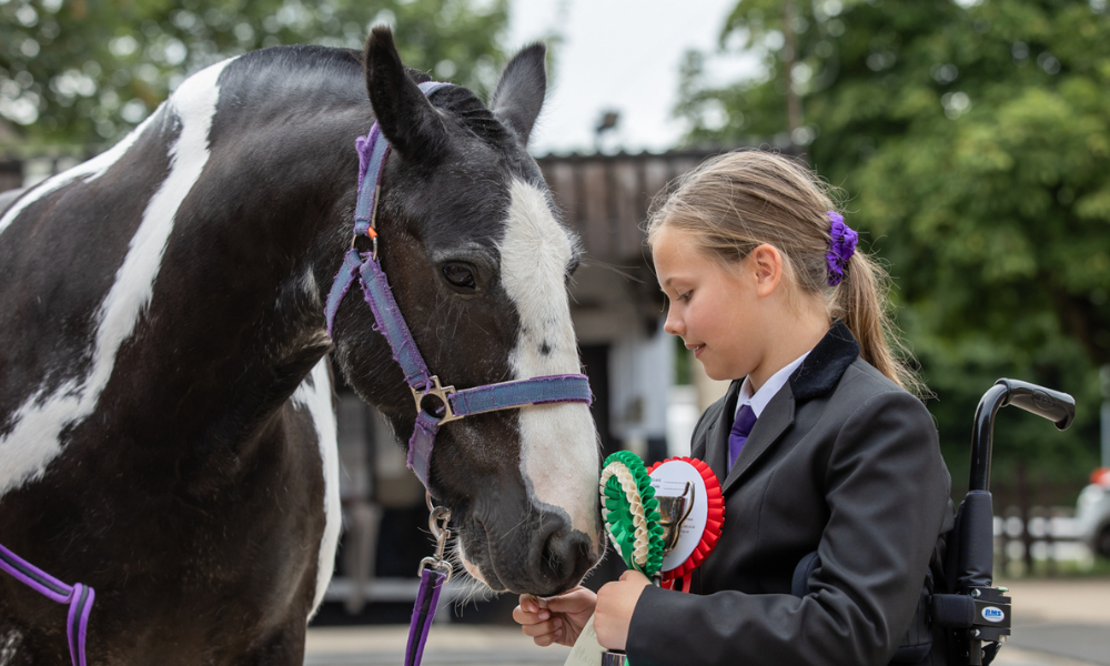 A rider sitting in a wheelchair shows her pony the rosettes he has won. The rider and pony are in matching purple showgear and bridles.