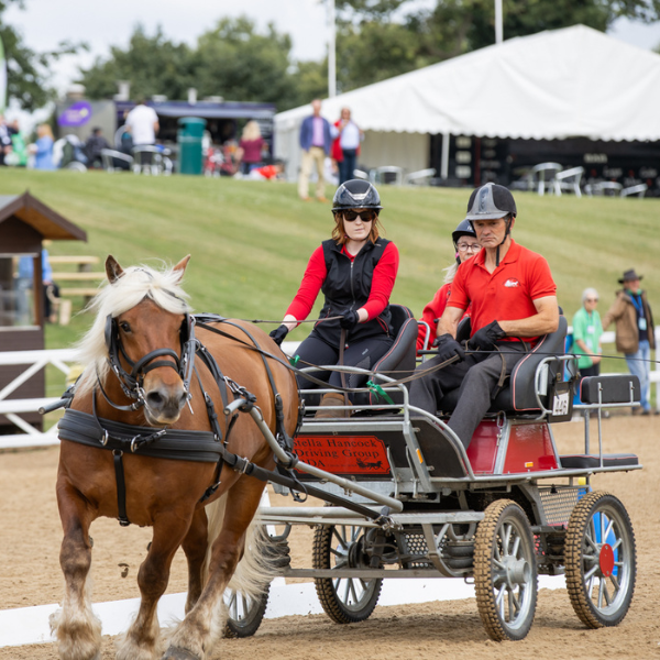 Two carriage drivers complete their test at the Championships. They are both in red polo shirts.