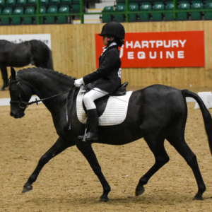 Georgia Halliwell Paget - Young Volunteer of the Year, riding at Hartpury University.