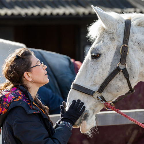 An RDA participant strokes a horses nose.