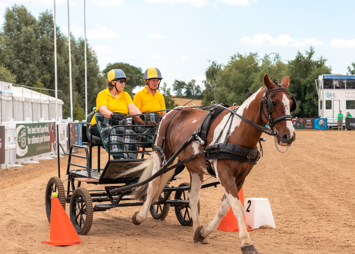 Two carriage drivers drive their carriage. Both drivers are wearing a yellow polo shirt.