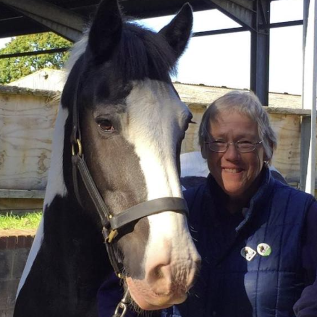 A older lady wearing a blue gilet stood next to a piebald horse, smiling into the camera.