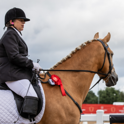 RDA dressage rider on horse with a red rosette