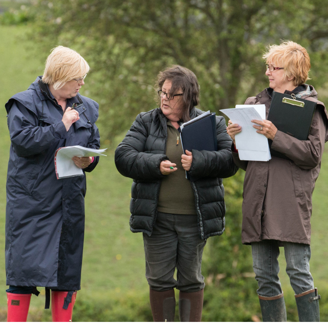 3 judges discussing notes