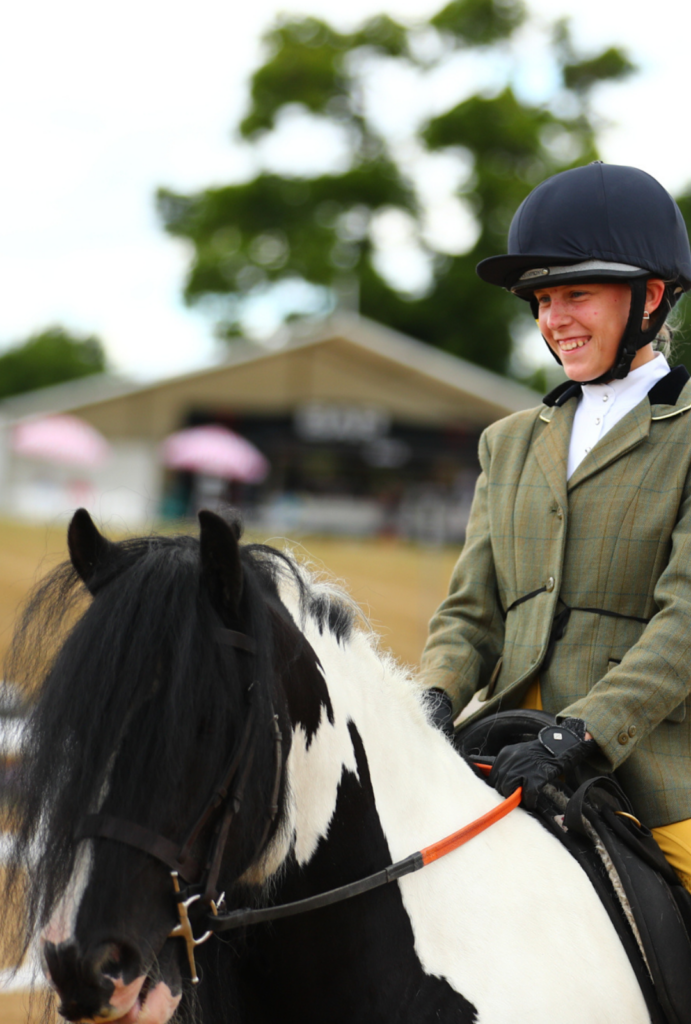 black and white horse with rider