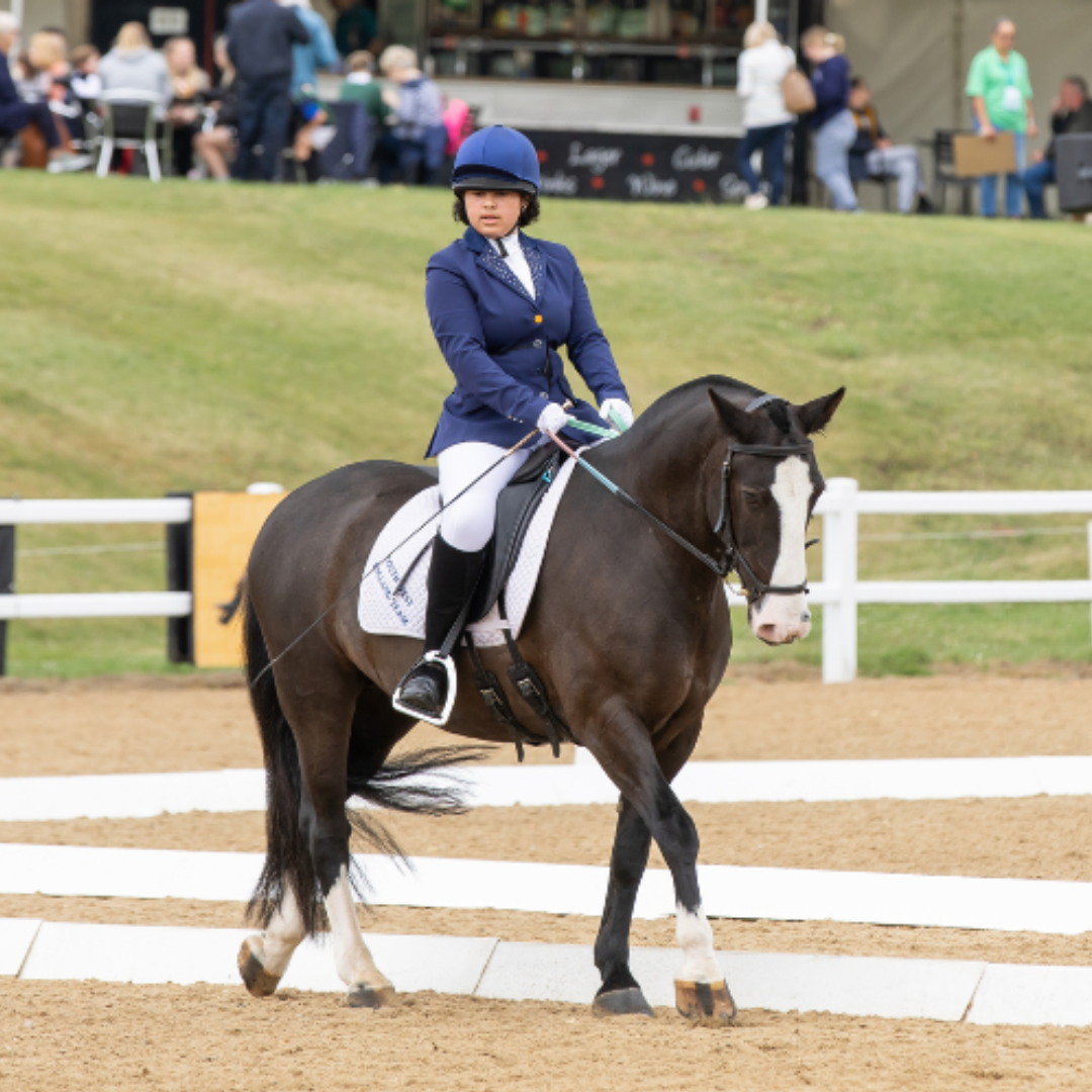 Dressage rider and horse