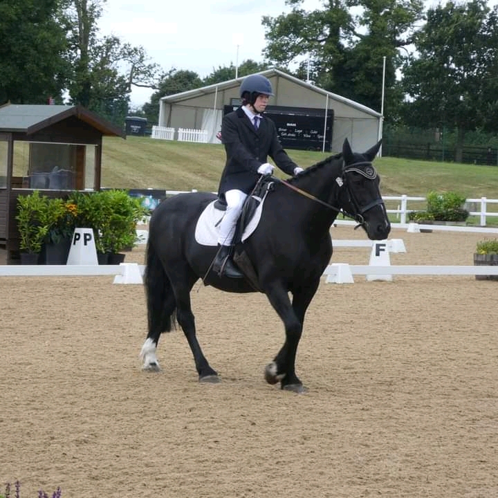 Image of Joe riding a black horse