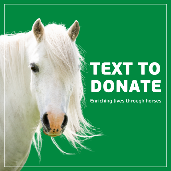 text to donate image with white pony