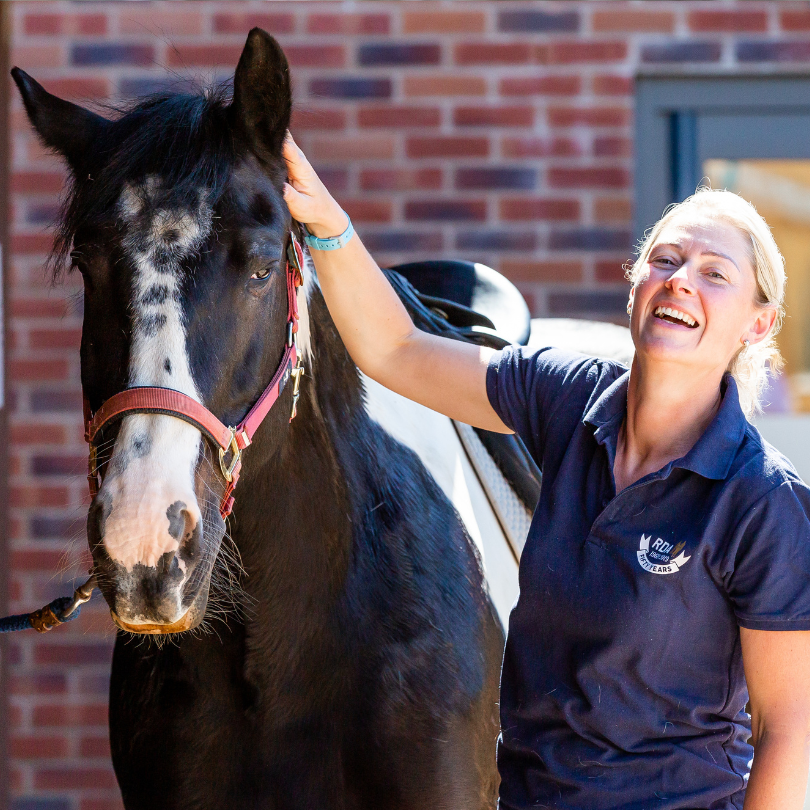 Image of volunteer stood next to a black and white horse