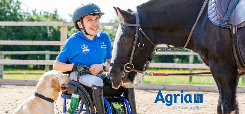 RDA participant in a wheelchair with a horse and dog