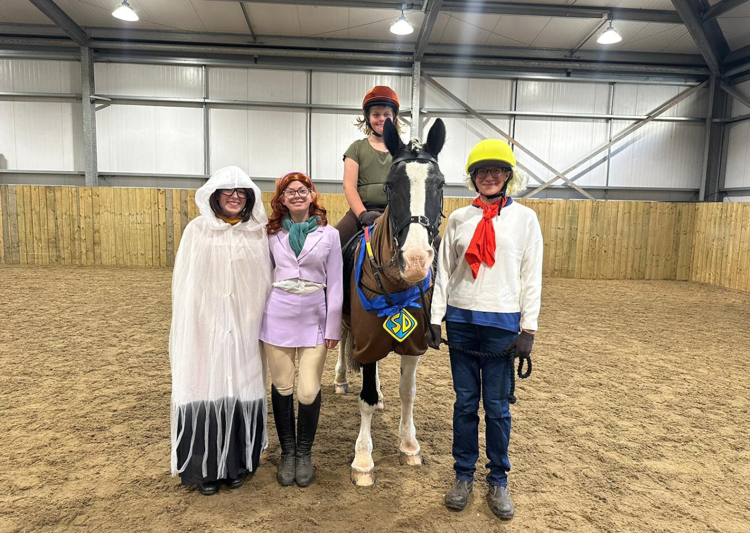 image of horse with participants in fancy dress