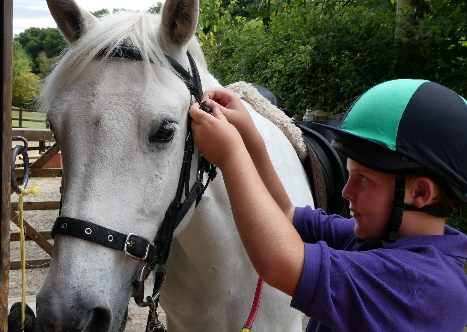 image of participant doing up a bridle on a horse