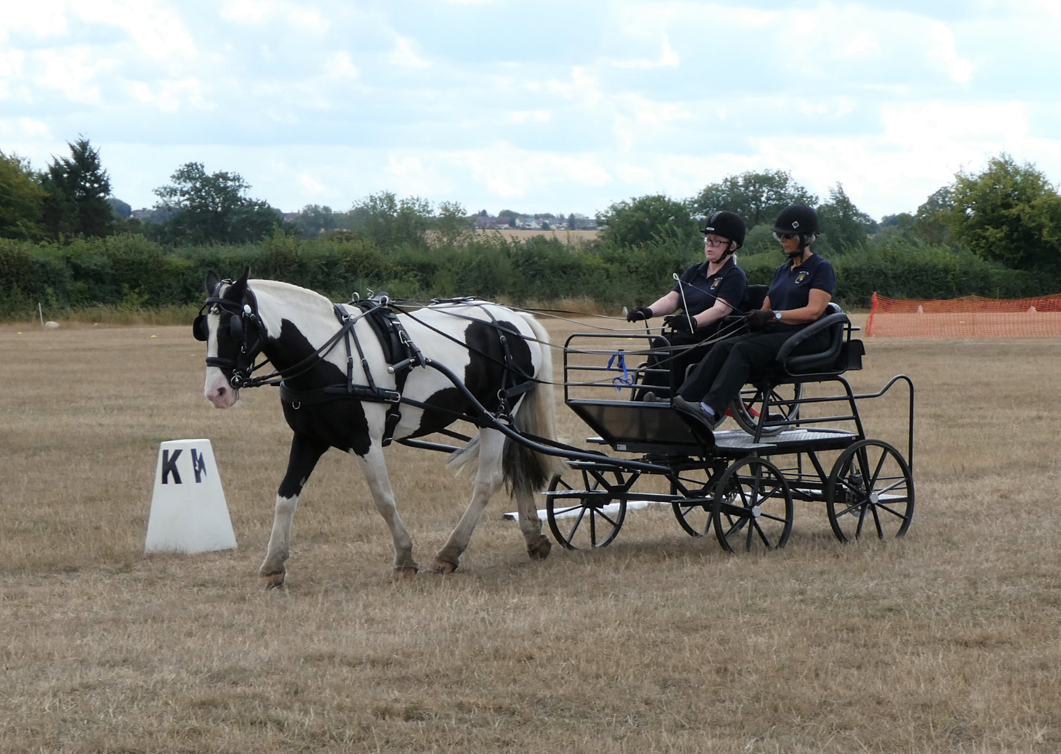 carriage driving image of horse and drivers