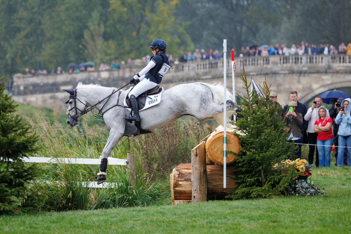 Image of Cross Country jumps