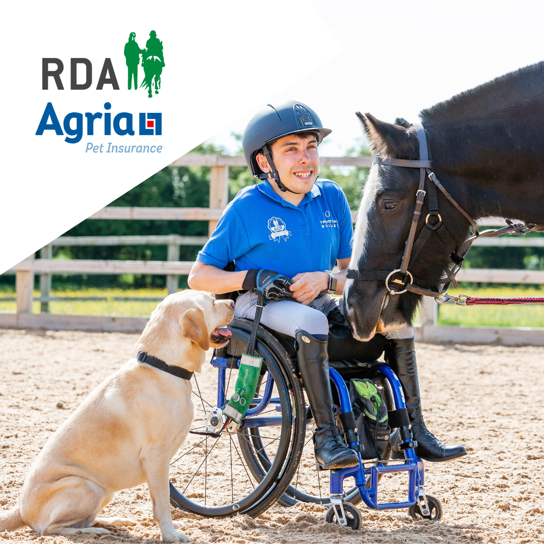 Agria logo, volunteer, dog and horse