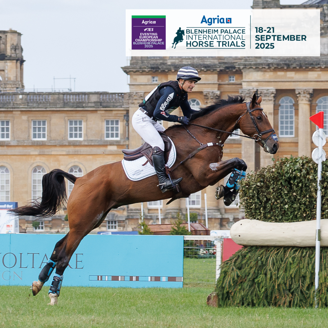 Eventer going over a cross country jump at Blenheim Palace International Horse Trials