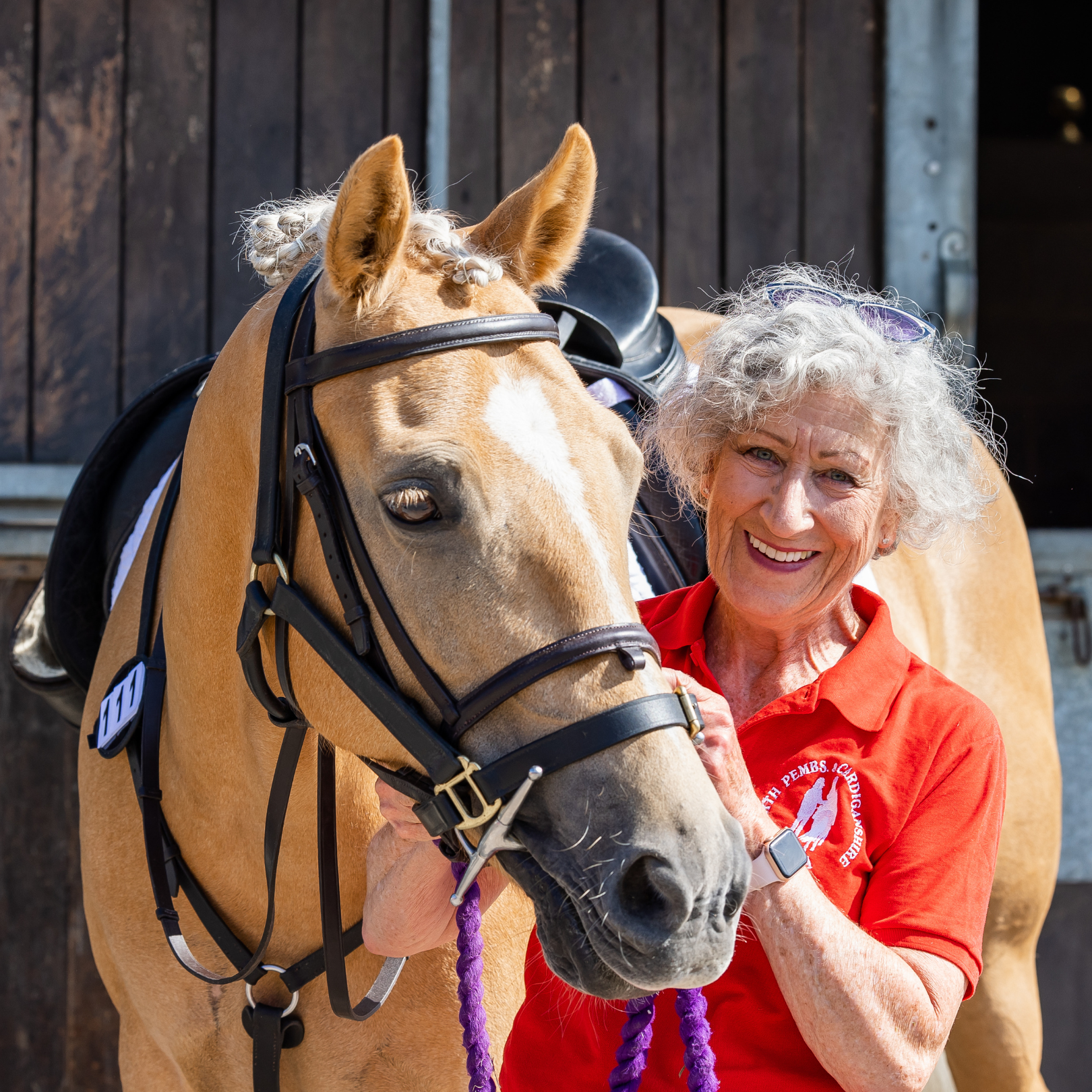 volunteer stood with a palomino horse