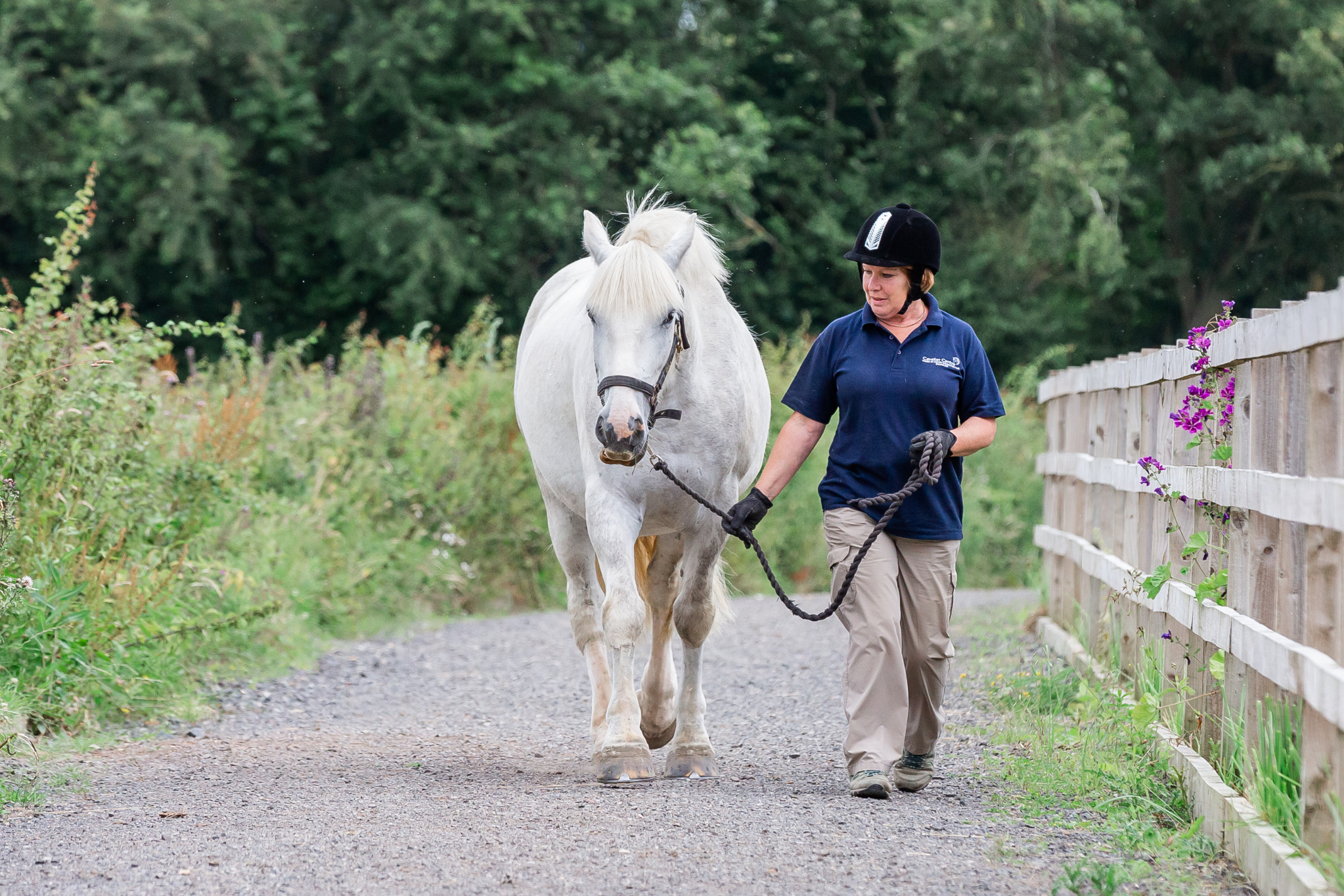 volunteer leading a horse