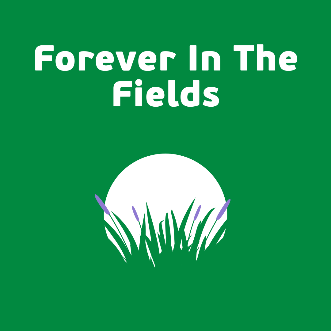 1 in 4 people (60) Forever in the fields