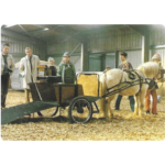 Untitled design - 2025-04-25T140444.143 carriage driving pony