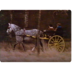 Untitled design - 2025-04-25T142531.373 Rags the Blue Peter Pony pulling a carriage