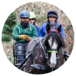 Untitled design - 2025-04-25T150636.103 carriage driving horse and participant and coach