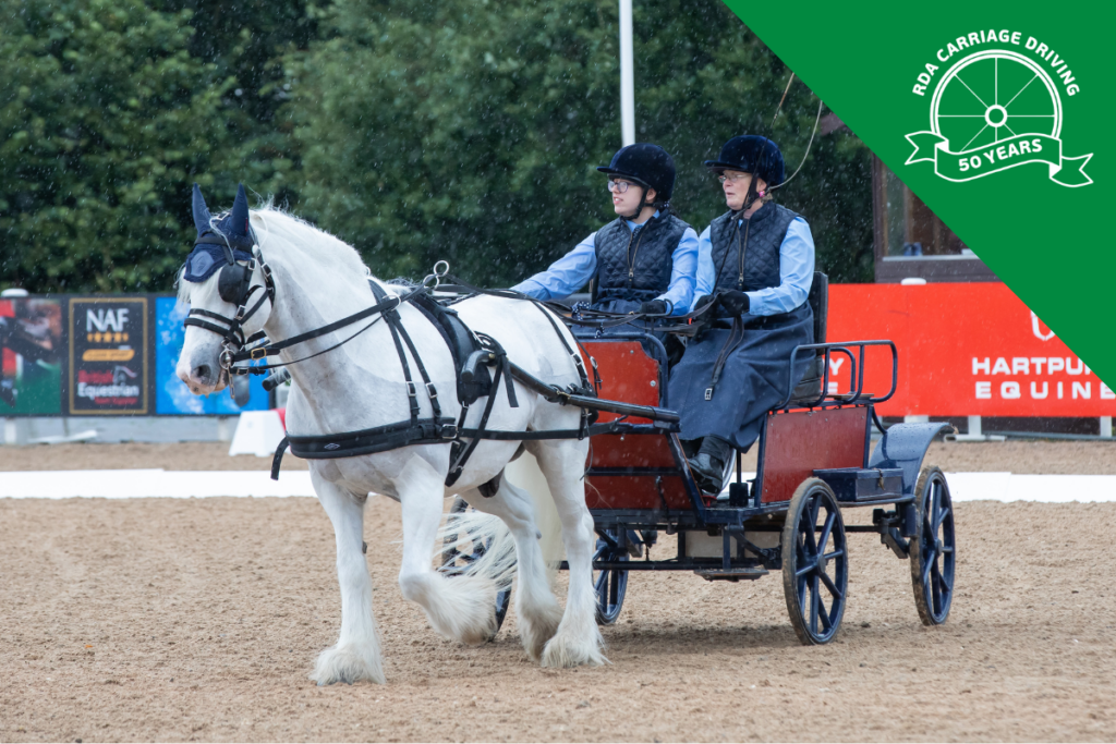 Website Image Blocks (23) White carriage driving horse with a coach and participant in the carriage, competing a the RDA National Champs