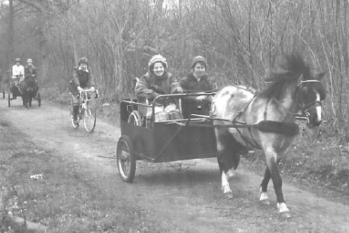 Website Image Blocks (26) carriage driving horse and participants in black and white photo