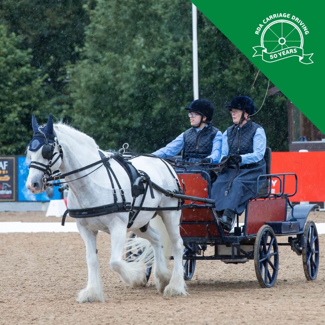 RDA carriage driving