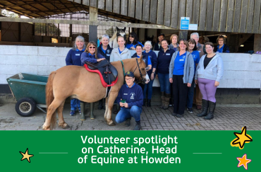 Volunteer spotlight on Catherine, Head of Equine at Howden