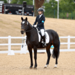 dressage rider on bay horse