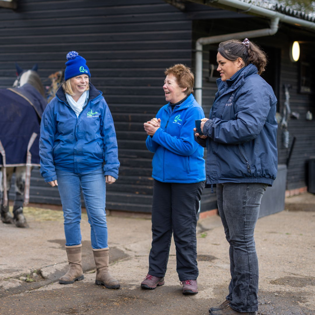 Untitled design - 2025-12-10T133753.639