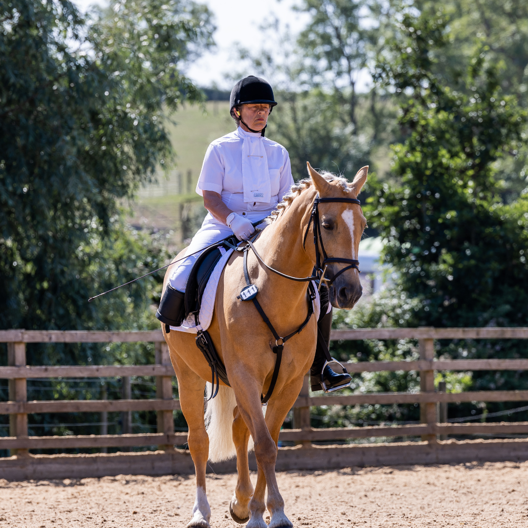 £50 donated direectly to RDA (26) image of dressage rider and horse