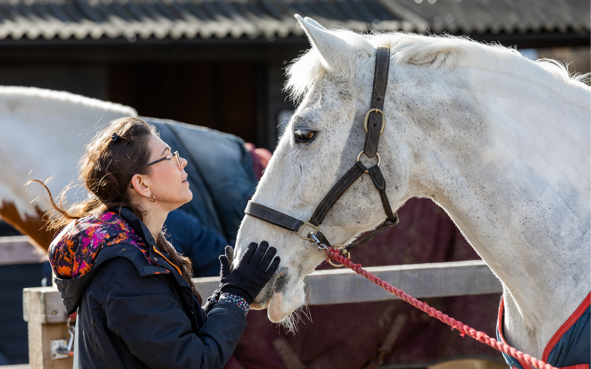 Web page headers (5)