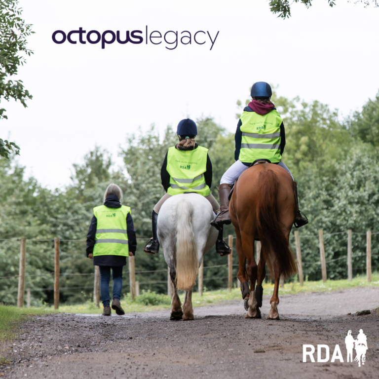 3 horses walking away from the camera on a hack