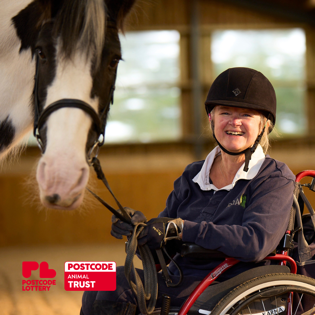 1 in 4 people (9) participant in a wheelchair holding a horse