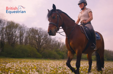 horse and rider, riding through a field of flowers